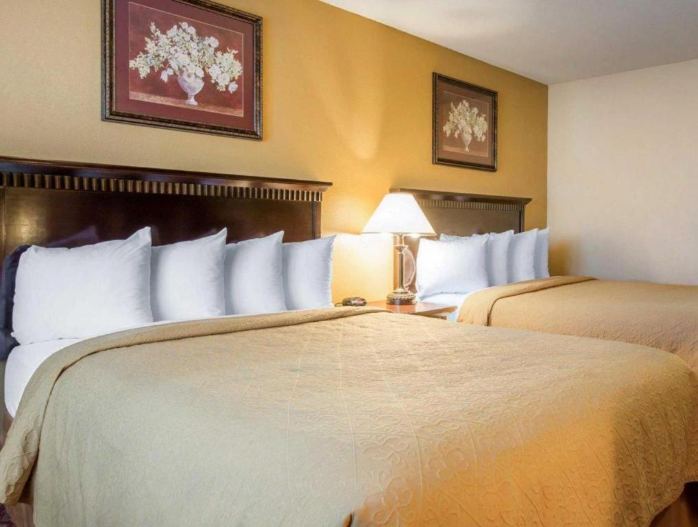 Quality Inn San Bernardino Exterior foto